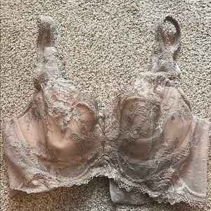 Elegant Lace Bra in Beige